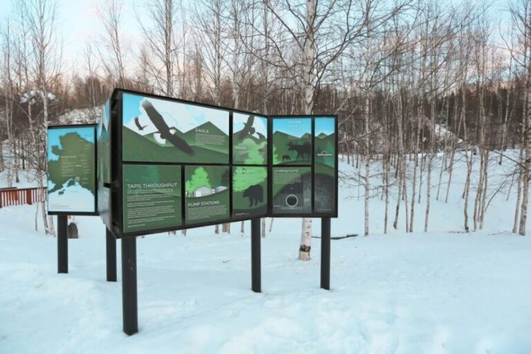 From Fairbanks: Arctic Circle Northern Lights Full-Day Trip - Final Thoughts: Who Should Consider This Tour?