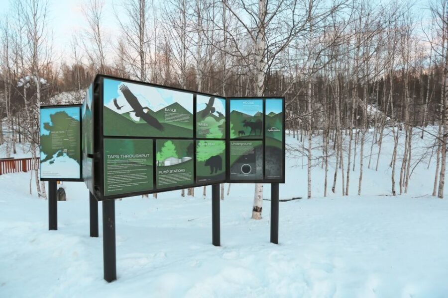 From Fairbanks: Arctic Circle Northern Lights Full-Day Trip - Final Thoughts: Who Should Consider This Tour?