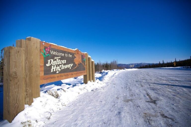 From Fairbanks: Northern Lights and Arctic Circle Tour - The Scenic, Educational, and Cultural Value