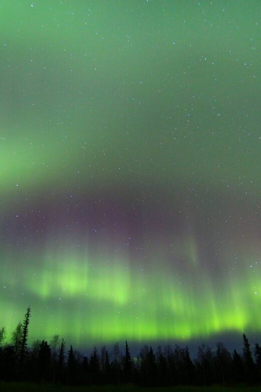 From Fairbanks: Northern Lights & Murphy Dome Tour - Who Should Consider This Tour?