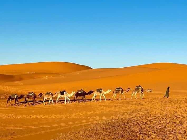 From Fes: 3-Day Merzouga Tour with Camel Ride & luxury camp - Value and Experience