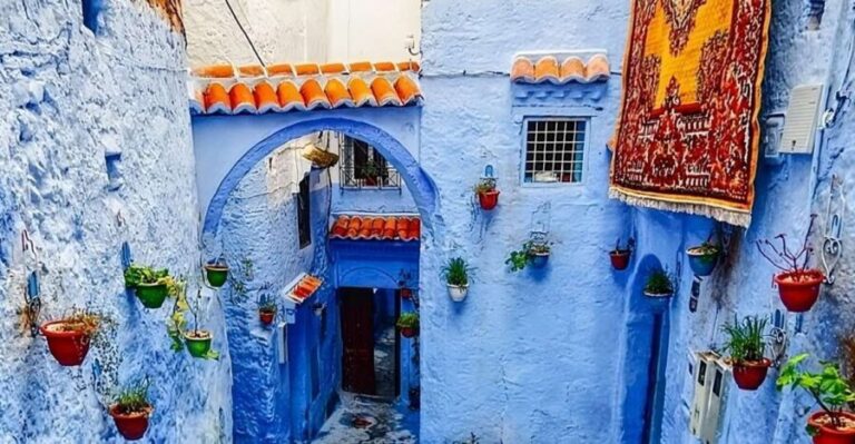 From Fes: Chefchaouen Day Trip with Return Transfers - The Experience: Pros and Cons
