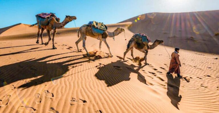 From Fes to Marrakech: 3-Day Sahara Desert Discovery Tour - From Desert to the Gorges and Kasbahs