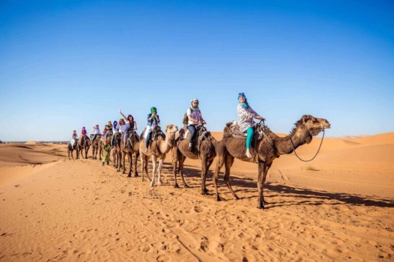 From Fez: 2-Day Marrakech via Merzouga Desert Tour - A Closer Look at the Itinerary