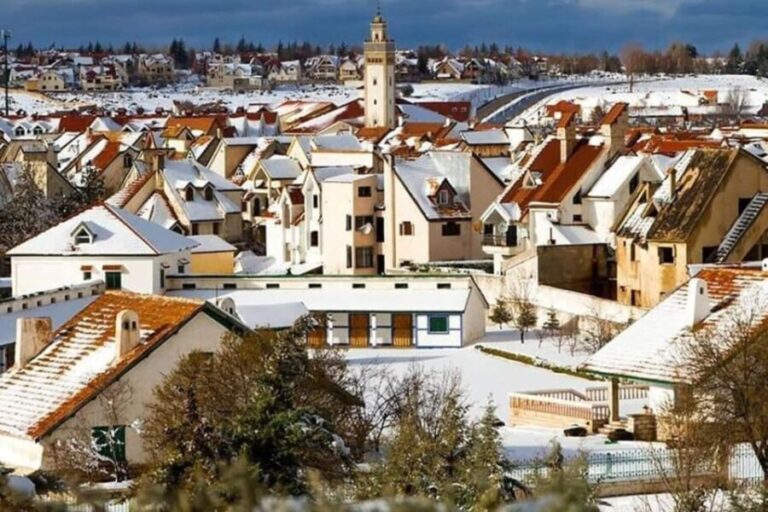 From Fez: Middle Atlas Ifran and Forest of Monkeys Day Trip - What You’ll Get and What to Consider