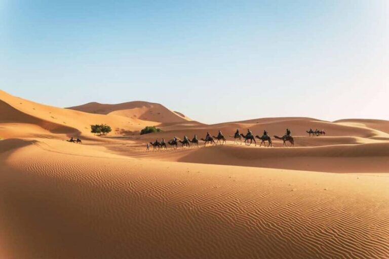 From Fez: Sahara Desert Tour to Marrakech in 3 Days - Pricing and Value for Money