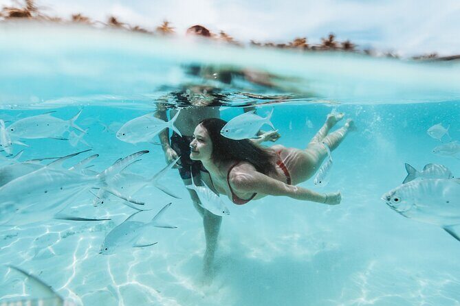 FROM FLORIDA: Bimini Bahamas Day Trip By Fast Ferry - Cost and Value: Is It Worth It?