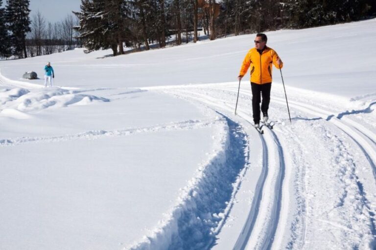 From Gardiner: Guided Yellowstone Cross-Country Skiing Tour - The Sum Up