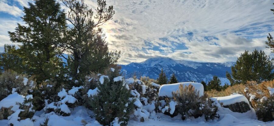 From Gardiner: Yellowstone National Park Snowshoe Tour