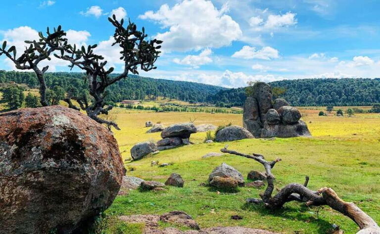 From Guadalajara: Tapalpa and Attaco Private Tour - What’s Included and What You Should Keep in Mind