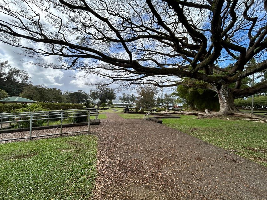 From Hilo: Hawaii Volcanoes National Park Tour