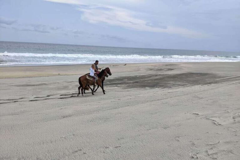 From Huatulco: Beach Horseback Riding Experience - Who Would Enjoy This Tour?
