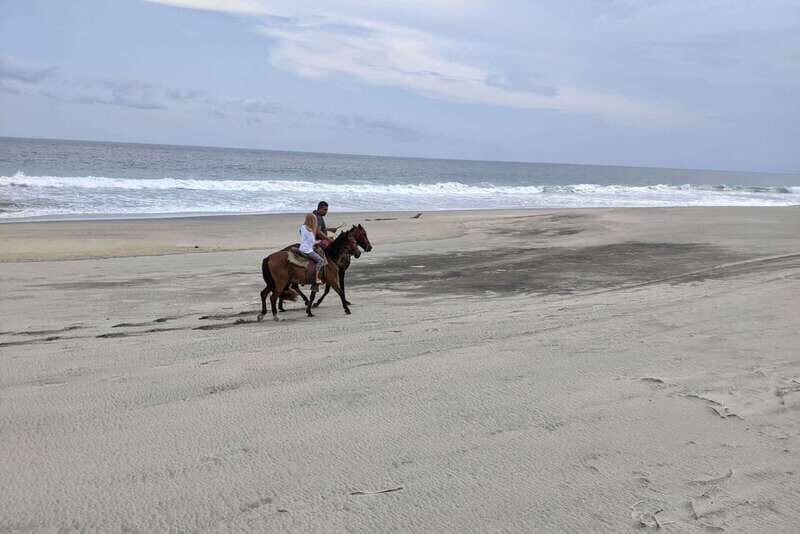 From Huatulco: Beach Horseback Riding Experience - Who Would Enjoy This Tour?