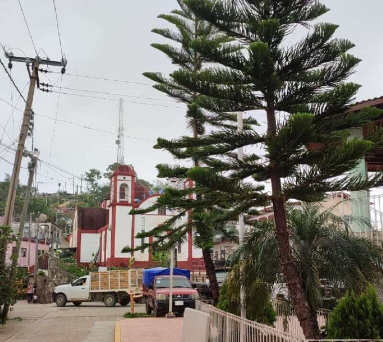 From Huatulco: Coffee Private Experience - Exploring the Itinerary: What to Expect
