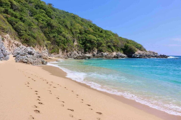 From Huatulco: Private 7 Bays Boat Tour - Who Is This Tour Best For?