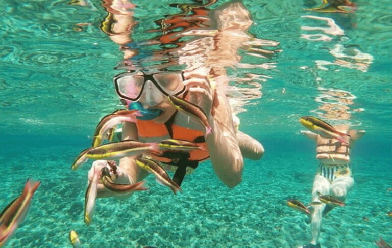 From Huatulco: Snorkel and La Entrega Beach Visit - Who Will Love This Tour?