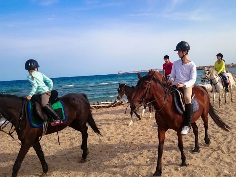 From Hurghada: Red Sea Sunrise and Desert Horseback Riding - Who Will Love This Experience?