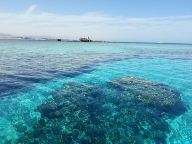 From Hurghada: Scuba Diving with Expert Guide & 2 Dives - The Value of This Tour