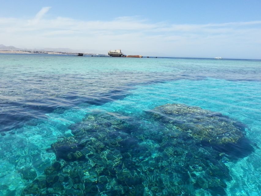 From Hurghada: Scuba Diving with Expert Guide & 2 Dives - The Value of This Tour