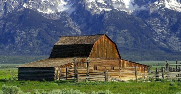 From Jackson: Half-Day Grand Teton National Park Tour - Is the Cost Worth It?