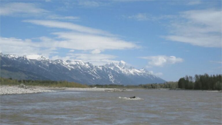 From Jackson Hole: Snake River Float with Scenic Teton Views - The Sum Up