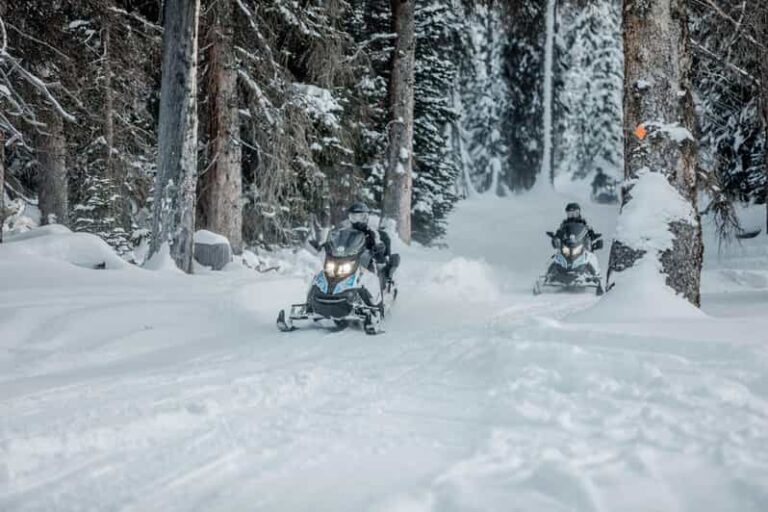 From Jackson: Yellowstone Grand Canyon Snowmobile Tour - What the Tour Includes and What to Know