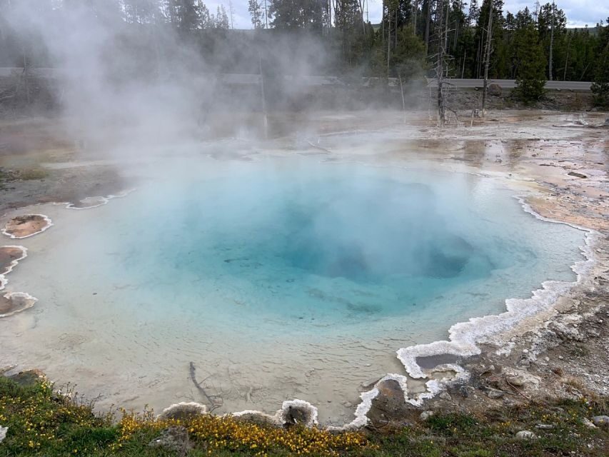 From Jackson: Yellowstone National Park Day Trip with Lunch