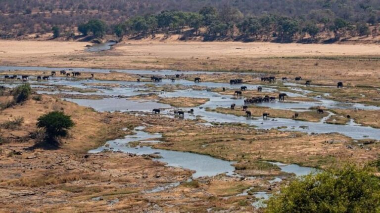 From Johannesburg: 6-Day Safari to Kruger & Mozambique - What Makes This Tour Stand Out