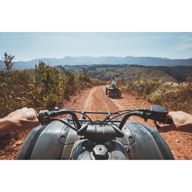 From Johannesburg: North West Safari and Quad Biking Tour - The Itinerary: What to Expect