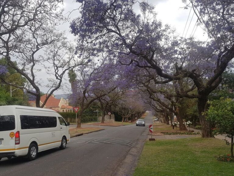 From Johannesburg: Pretoria Half Day Tour - Authentic Experiences and Insights From Travelers