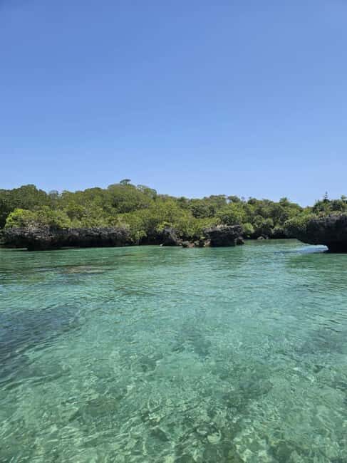 FROM KENDWA; Mnemba snorkelling and Dolphin tour - Exploring the Itinerary in Detail