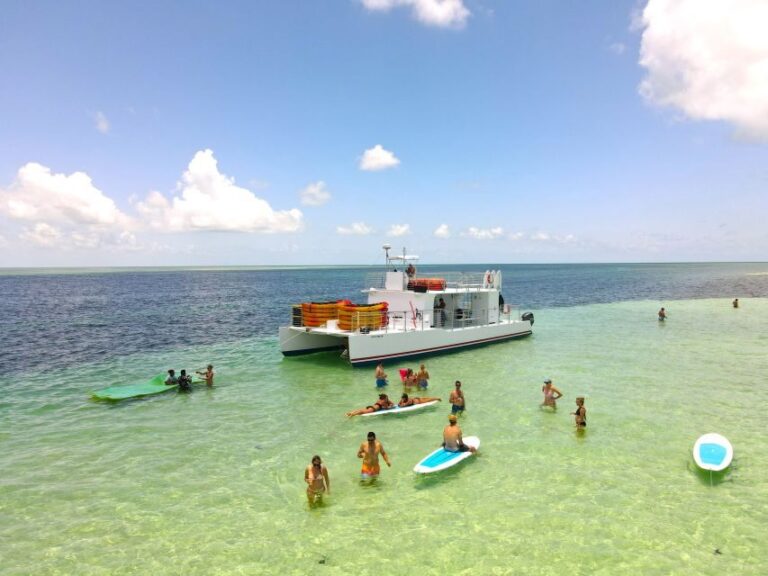 From Key West: Dolphin Watching Tour with Lunch & Drinks - Lunch, Drinks, and Overall Value