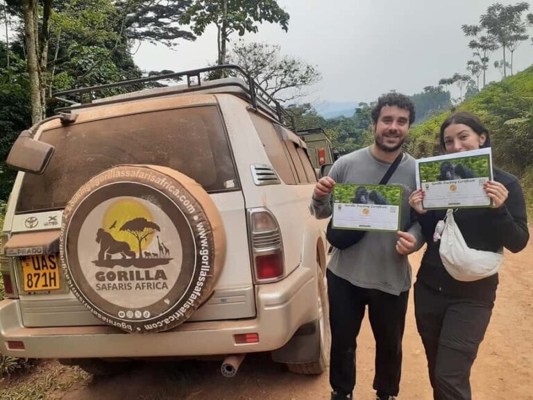 From Kigali: 2-Day Bwindi National Park Gorilla Trekking - Authenticity and Value