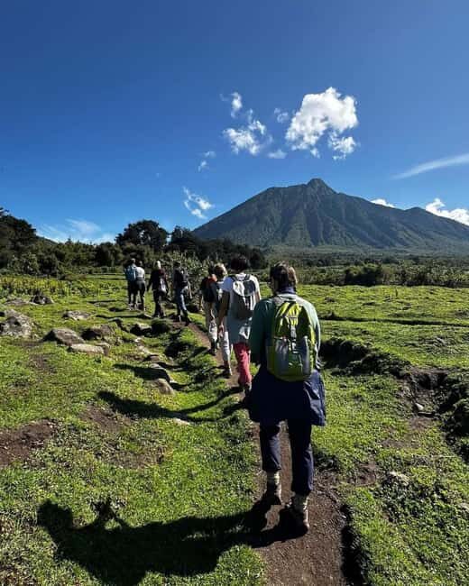 From Kigali: 2-Day Gorilla Trekking Safari in Rwanda - Practical Tips for Travelers