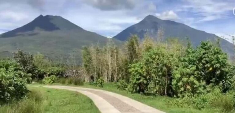 From Kigali, Rwanda: Guided gorilla trekking experience - The Value of This Tour