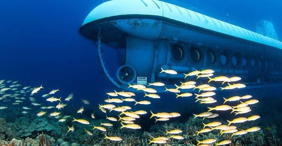 From Kona: Big Island Underwater Submarine Adventure - Who Will Love This Tour?