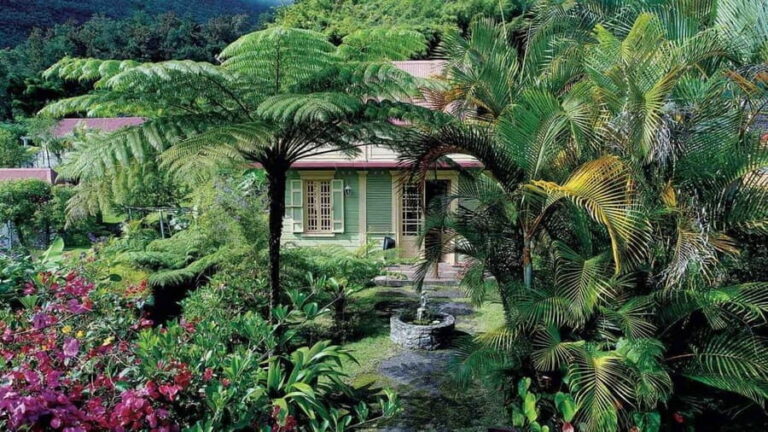 From La Reunion: Salazie Guided Tour 8 person - Final Thoughts