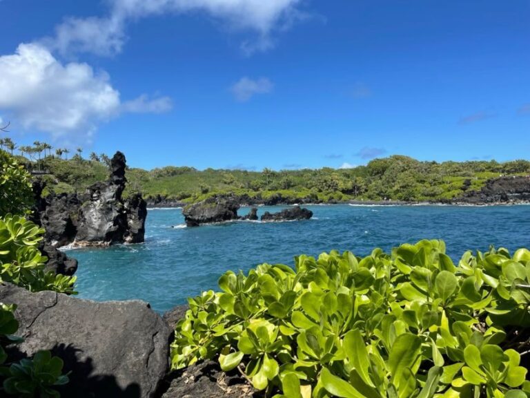 From Lahaina, Maui: Road to Hana Tour - Value and Practicalities