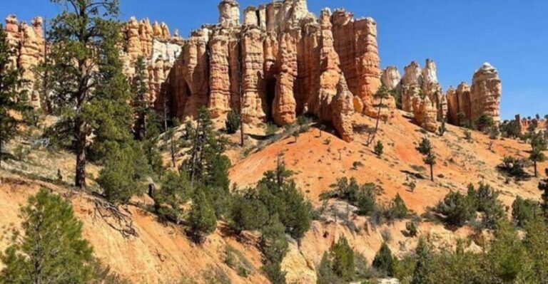 From Las Vegas: Private Tour to Zion National Park - What’s Included and What’s Not