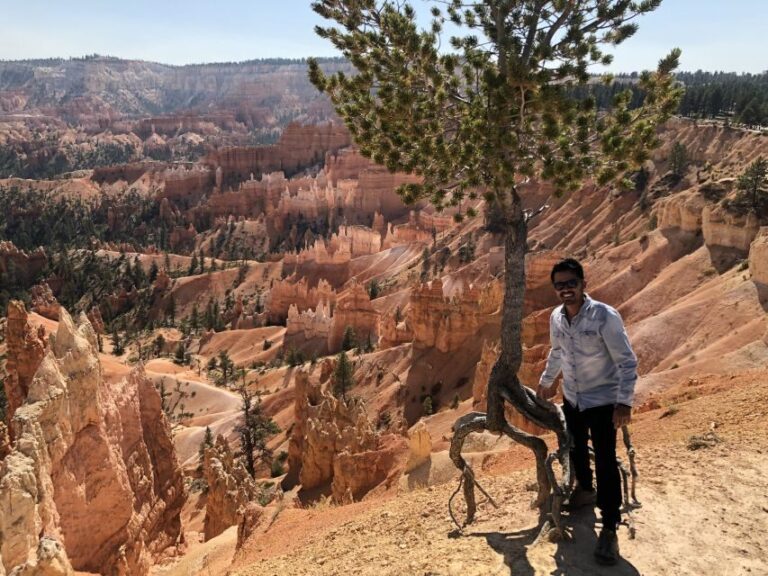 From Las Vegas: Zion and Bryce Canyon Day Trip with Pickup - Who Will Love This Tour?