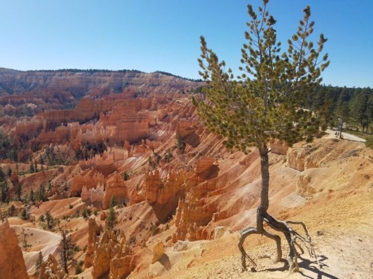 From Las Vegas: Zion and Bryce Canyon Guided Day Tour - Who Will Love This Tour?