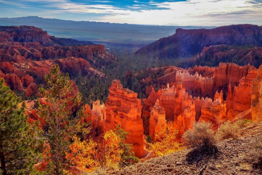 From Las Vegas: Zion and Bryce National Park Overnight Tour - What Makes This Tour Stand Out