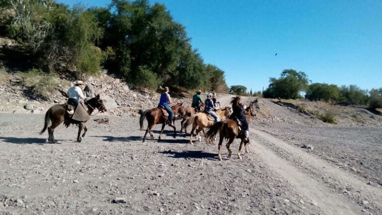 From Loreto: Baja Desert Horseback Riding Tour - Analyzing the Value