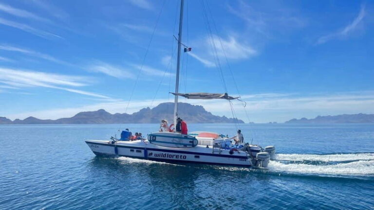 From Loreto: Snorkeling Catamaran Cruise - Who Should Consider This Tour?