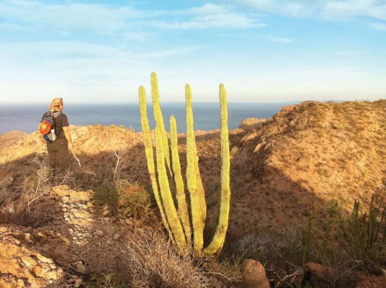 From Loreto: Tabor Canyon Guided Hike - The Itinerary and Terrain