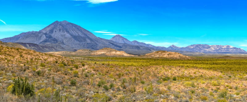 From Los Cabos: City Tour La Paz, Balandra and Todos Santos