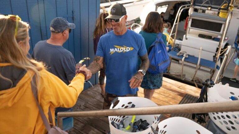 From Ma'alaea: Afternoon Whale Watch Tour Aboard the Malolo - Authentic Insights from Travelers