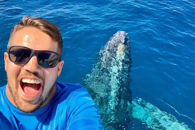 From Maalaea: Whale Watching Tour Aboard the Quicksilver - The Downsides: Considerations Before Booking
