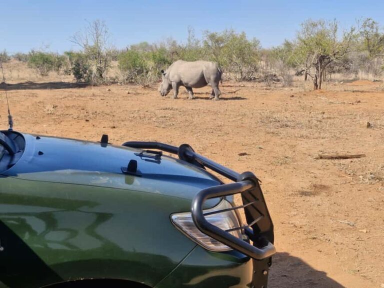 From Marloth Park: Kruger National Park Full-Day Safari - The Value of Expert Guides