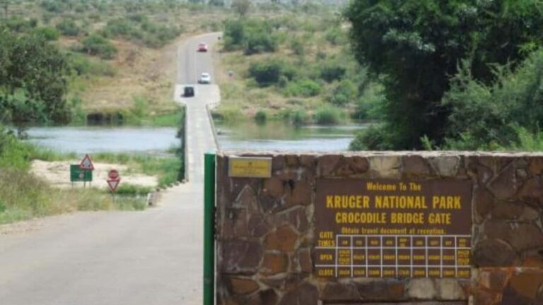 From Marloth Park: Kruger National Park Walking Safari - Who Should Consider This Tour?
